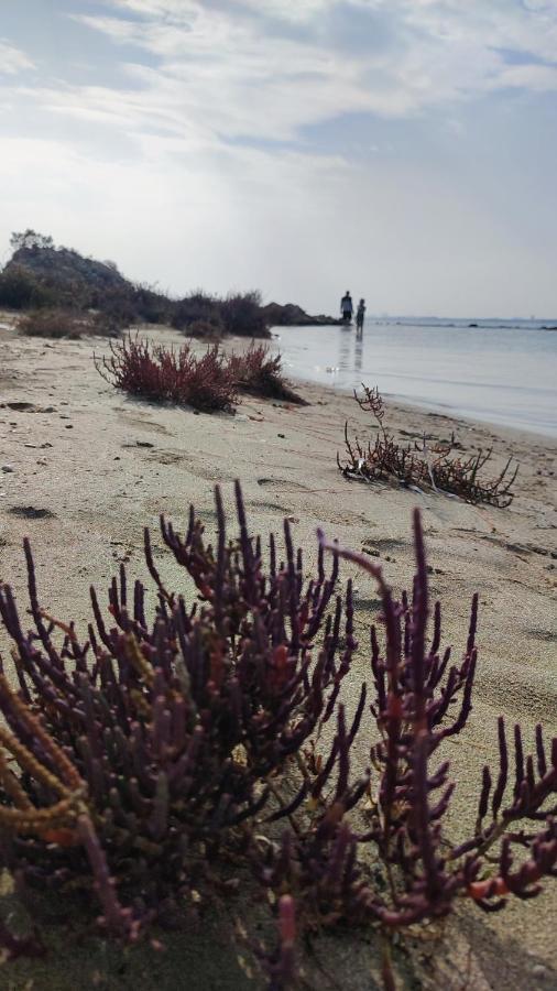 Fantastic 4 Cyprus First Line Beachfront Boghaz 外观 照片