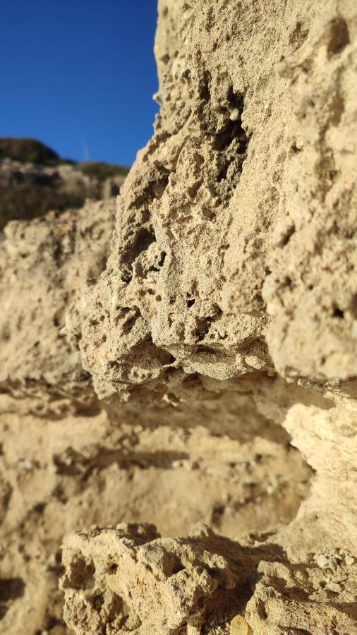 Fantastic 4 Cyprus First Line Beachfront Boghaz 外观 照片