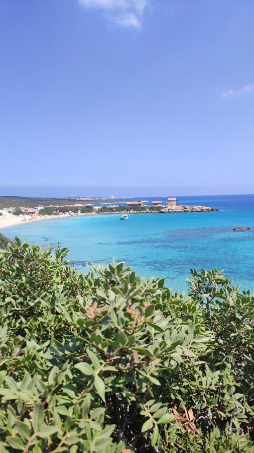 Fantastic 4 Cyprus First Line Beachfront Boghaz 外观 照片