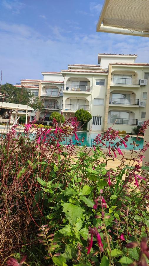Fantastic 4 Cyprus First Line Beachfront Boghaz 外观 照片